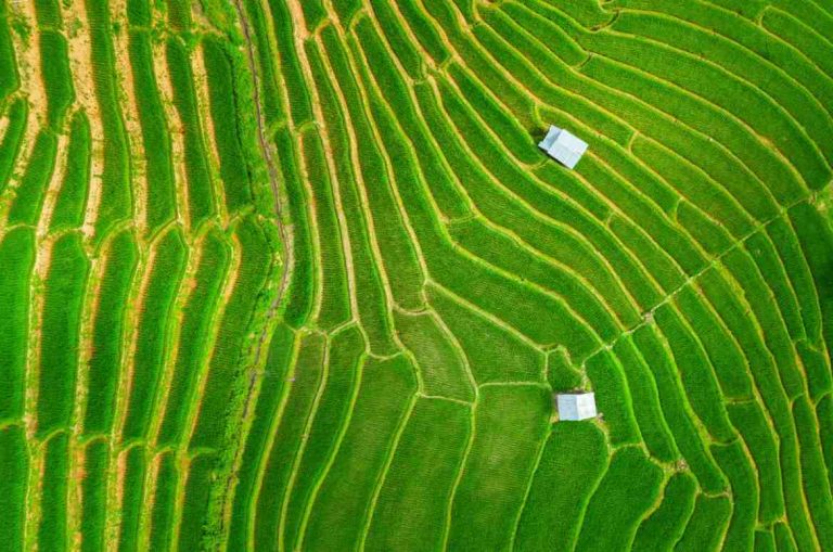 aerial-view-rice-terrace-ban-pa-bong-piang-chiang-mai-thailand